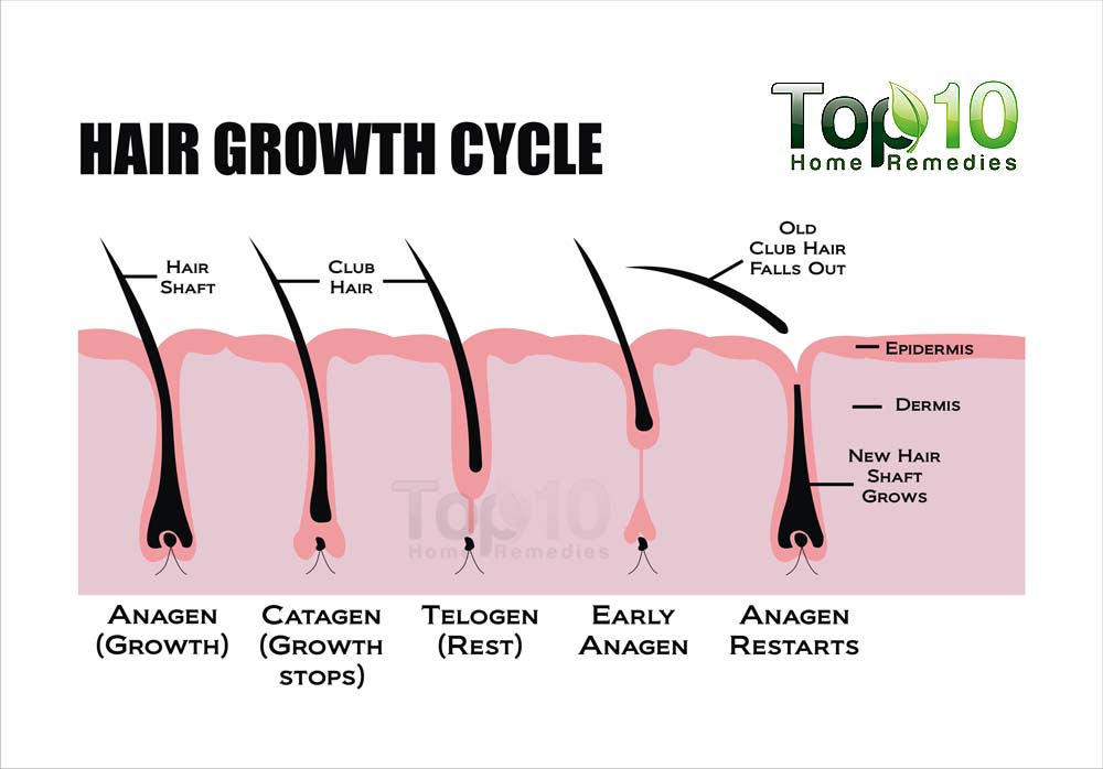 meditation to regrow hair